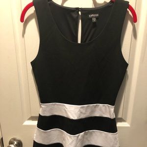 Express Skater dress